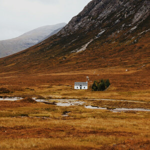 Scottish rural land market cools in 2023