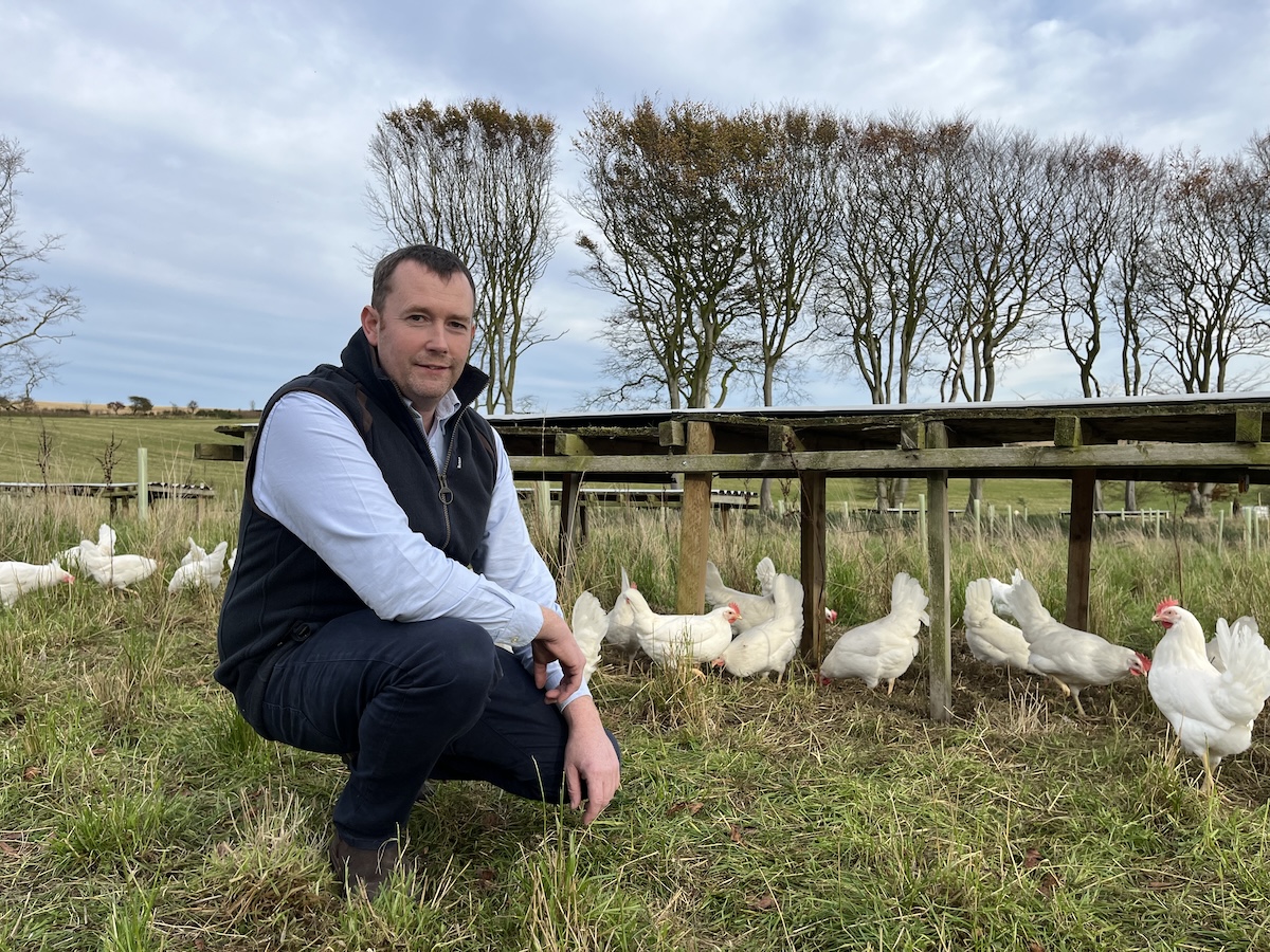 Farmlay's £2.4m investment cracks open new era for egg production