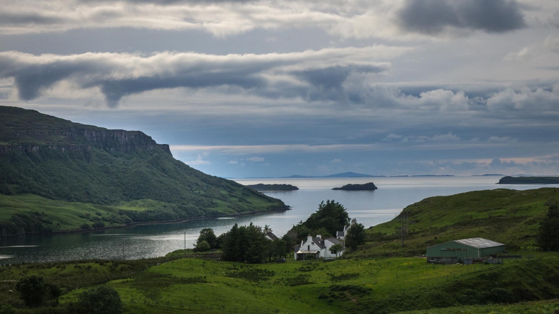 Kaly Group nets £300,000 to scale up Scottish seaweed farming