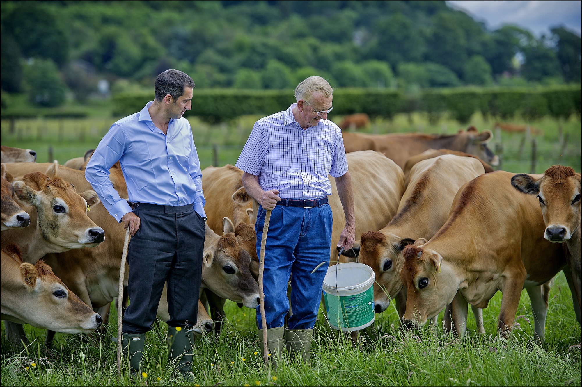 Graham's posts £2.8m pretax profit as cottage cheese sales surge 40%