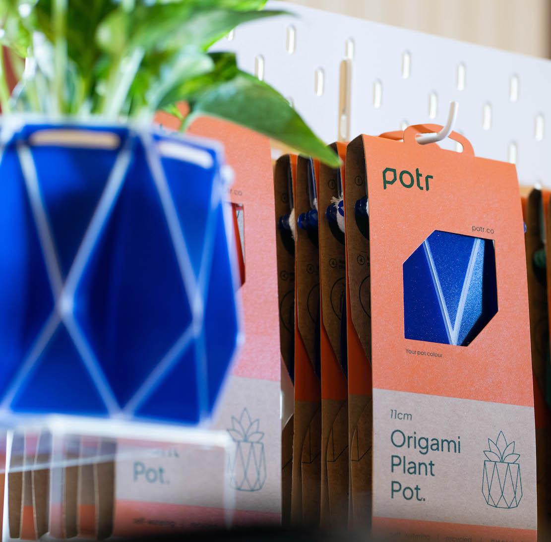 Scottish origami plant pots set to blossom in Japan with major distribution deal