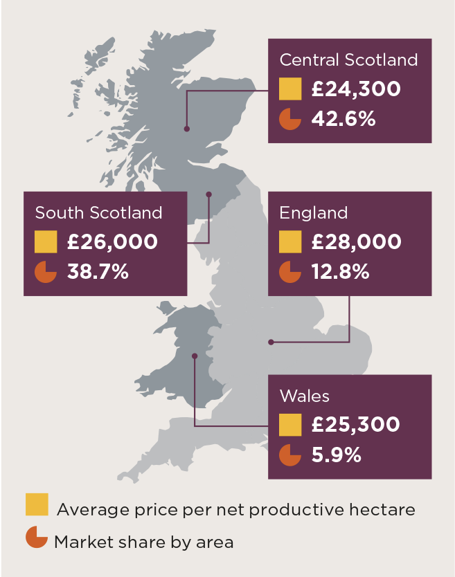 Central Scotland leads in forest hectares sold despite market contraction