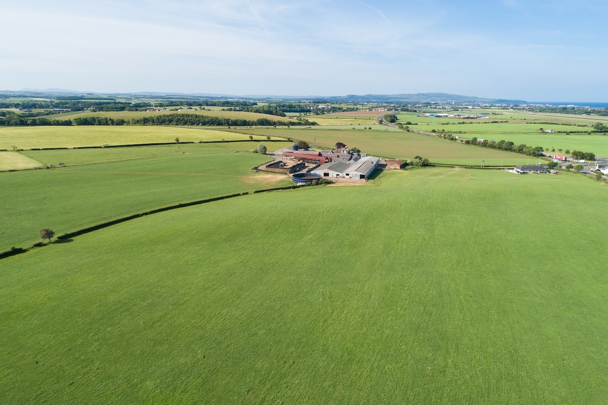 Savills: Scottish farmland market defies expectations with surge in activity