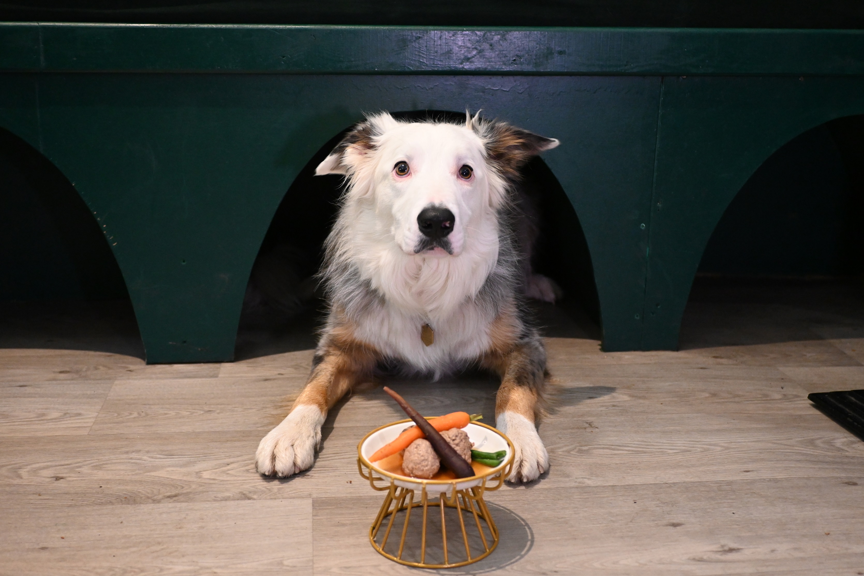 Edinburgh dog-friendly supper club launches thanks to £75,000 Investment Fund for Scotland loan