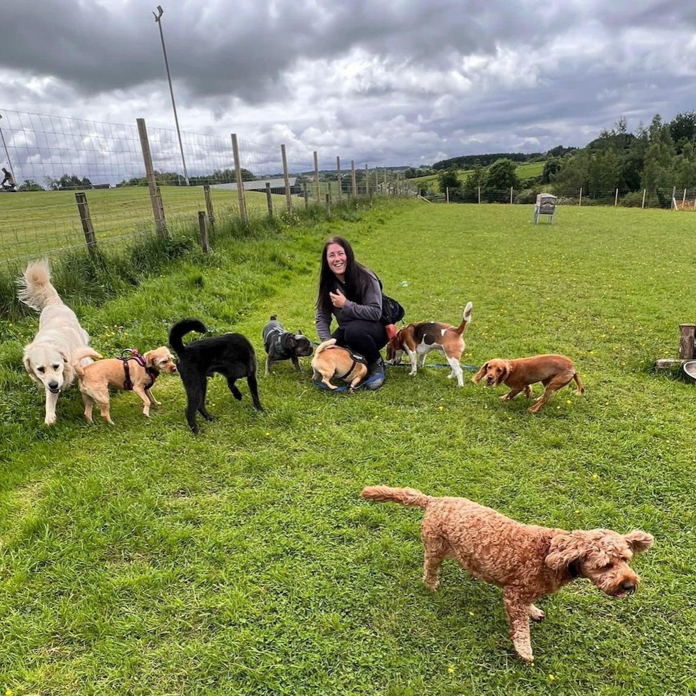 Lanarkshire doggy daycare unleashes plans to grow business thanks to support from Business Gateway