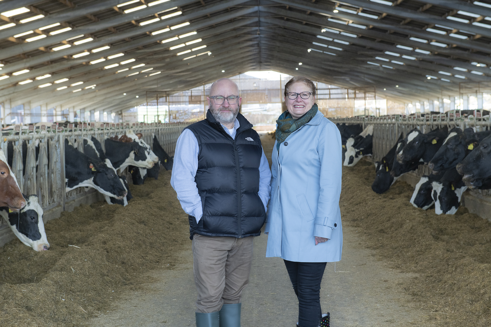 Scottish biotech Biotangents raises £2.3m to trial new bovine diagnostic device